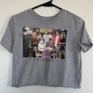 Friends Crop Top Grey Shirt XS